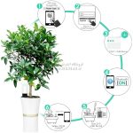 سنسور گل و گیاه شیائومی Flower Care Max HHCCJCY09 - تصویر 3